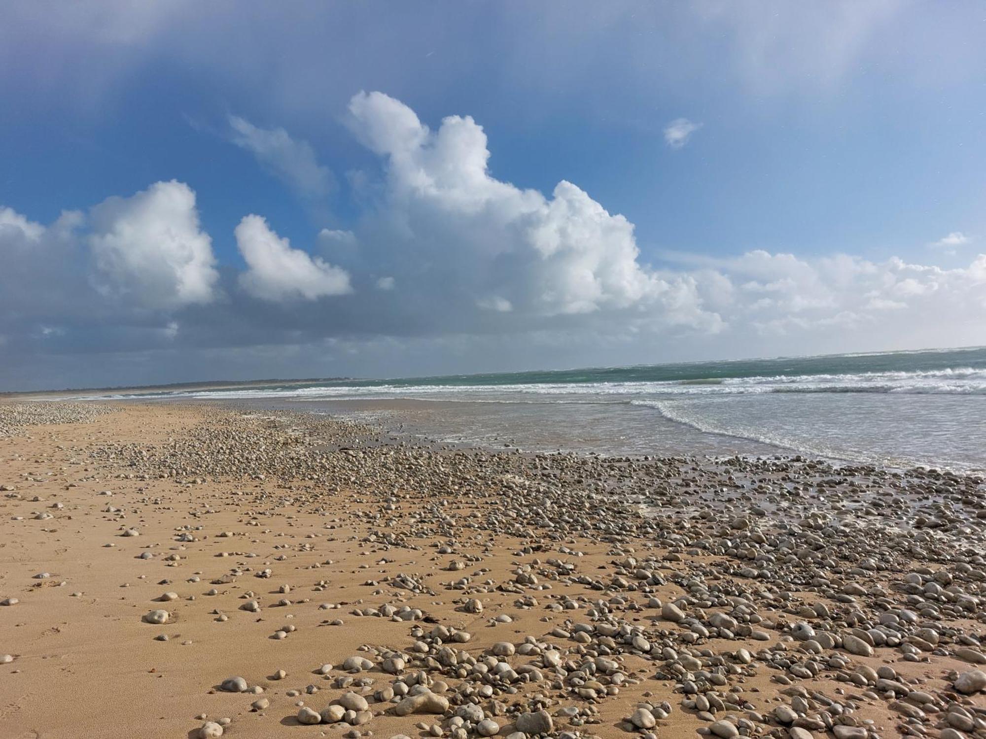 Maison A 8 Min A Pied De La Plage Avec Jardin Clos Et Ombrage Сен-Жорж-д'Олерон Екстериор снимка