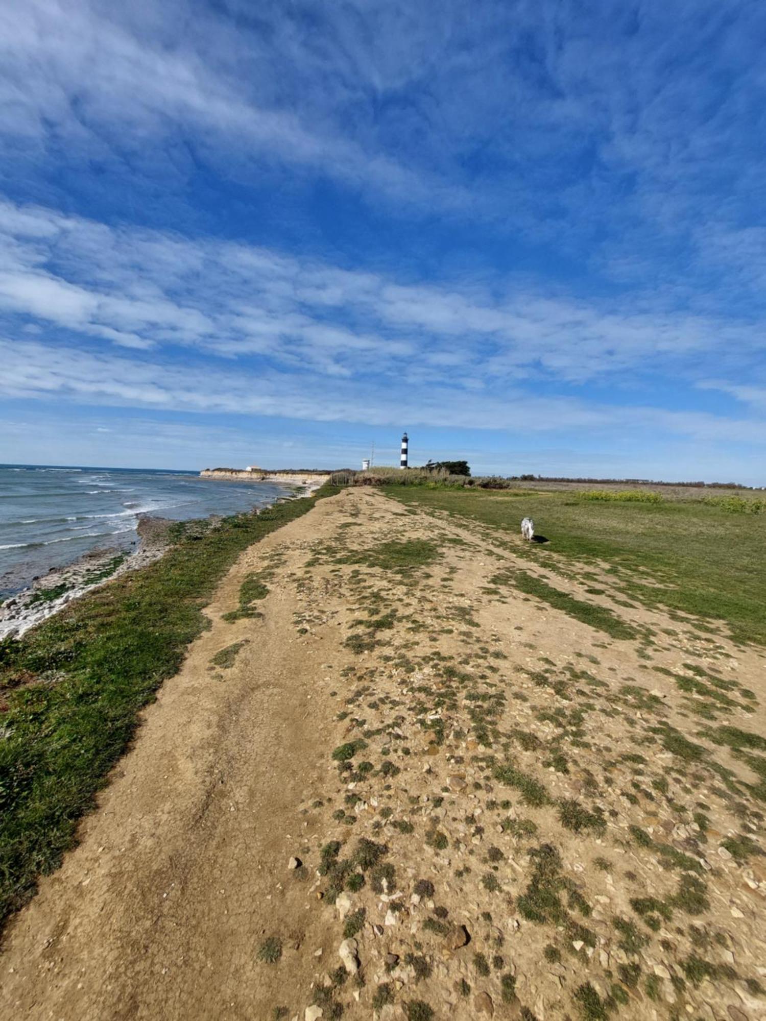 Maison A 8 Min A Pied De La Plage Avec Jardin Clos Et Ombrage Сен-Жорж-д'Олерон Екстериор снимка